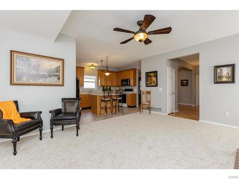 317 Hawks View Dr, O'fallon, MO 63368 photo 10