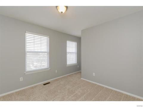 317 Hawks View Dr, O'fallon, MO 63368 photo 31