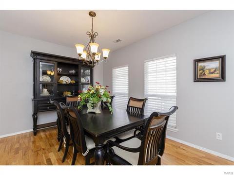 317 Hawks View Dr, O'fallon, MO 63368 photo 4