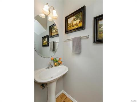 317 Hawks View Dr, O'fallon, MO 63368 photo 22