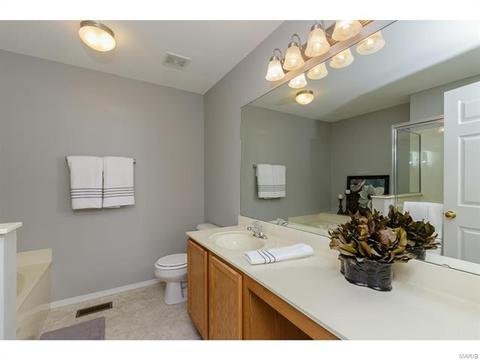 317 Hawks View Dr, O'fallon, MO 63368 photo 28