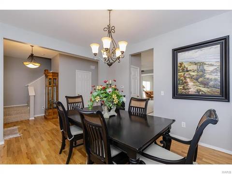 317 Hawks View Dr, O'fallon, MO 63368 photo 3
