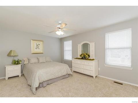 317 Hawks View Dr, O'fallon, MO 63368 photo 23