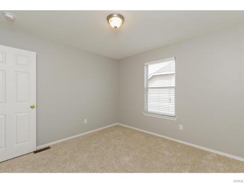 317 Hawks View Dr, O'fallon, MO 63368 photo 30