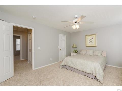 317 Hawks View Dr, O'fallon, MO 63368 photo 24