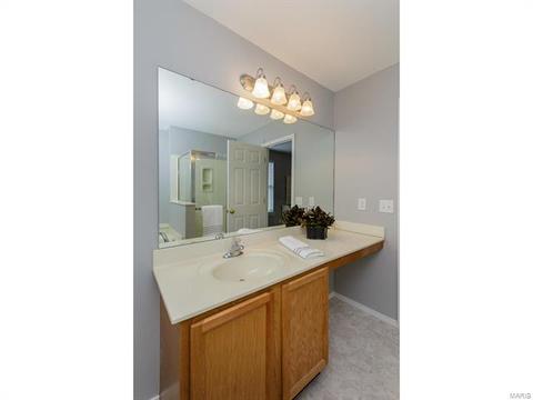 317 Hawks View Dr, O'fallon, MO 63368 photo 29