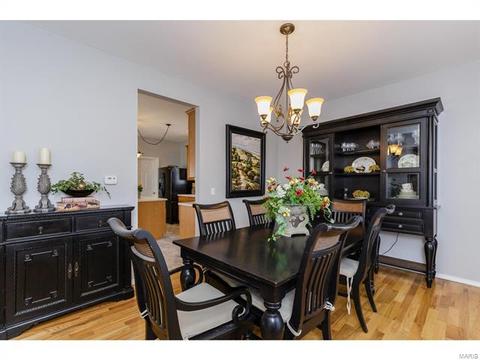 317 Hawks View Dr, O'fallon, MO 63368 photo 6