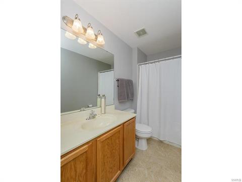 317 Hawks View Dr, O'fallon, MO 63368 photo 32
