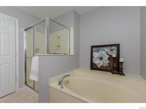 317 Hawks View Dr, O'fallon, MO 63368 photo 27