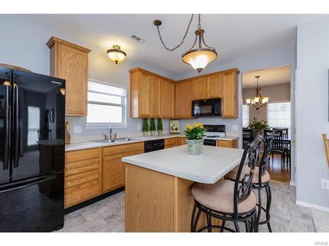 317 Hawks View Dr, O'fallon, MO 63368 photo 11