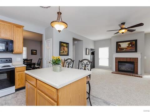 317 Hawks View Dr, O'fallon, MO 63368 photo 13