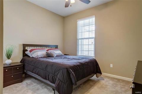 10 Thoreau Ct, O'fallon, MO 63366 photo 19