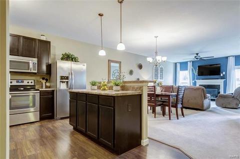 10 Thoreau Ct, O'fallon, MO 63366 photo 6