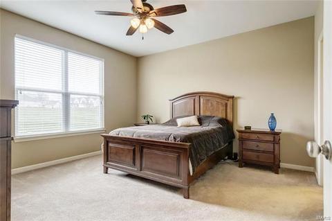 10 Thoreau Ct, O'fallon, MO 63366 photo 15