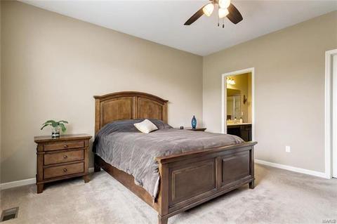 10 Thoreau Ct, O'fallon, MO 63366 photo 16