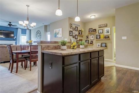 10 Thoreau Ct, O'fallon, MO 63366 photo 9
