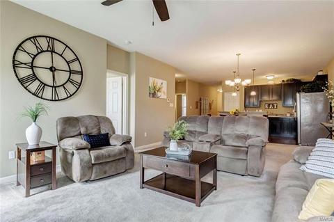 10 Thoreau Ct, O'fallon, MO 63366 photo 14