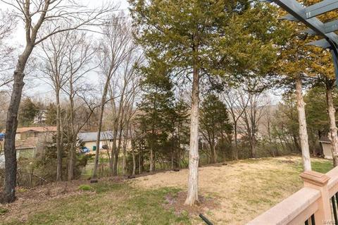 823 Wild Hawk Dr, Eureka, MO 63025 photo 21