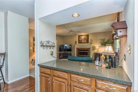1722 Timber Ridge Estates Dr, Wildwood, MO 63011 photo 23
