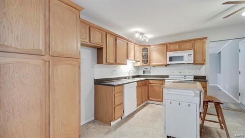 305 Ries Ct, Ballwin, MO 63021 photo 27