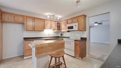 305 Ries Ct, Ballwin, MO 63021 photo 29