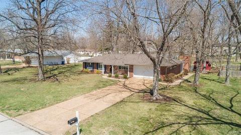 305 Ries Ct, Ballwin, MO 63021 photo 2