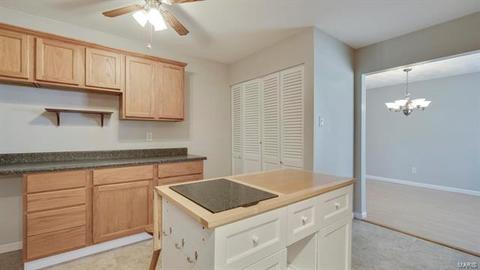 305 Ries Ct, Ballwin, MO 63021 photo 28