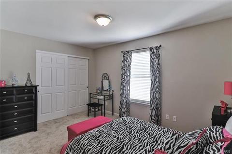 1 Babble Creek Ct, O'fallon, MO 63368 photo 10