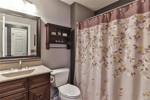 1 Babble Creek Ct, O'fallon, MO 63368 photo 15