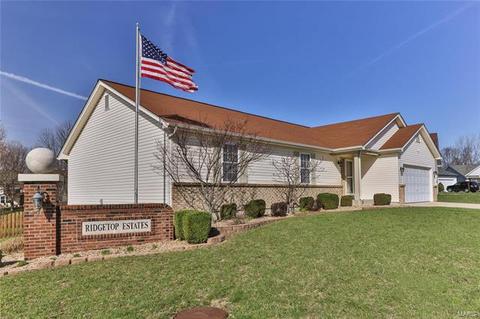 1 Babble Creek Ct, O'fallon, MO 63368 photo 2