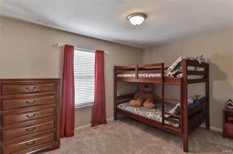 1 Babble Creek Ct, O'fallon, MO 63368 photo 11