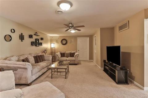 1 Babble Creek Ct, O'fallon, MO 63368 photo 18