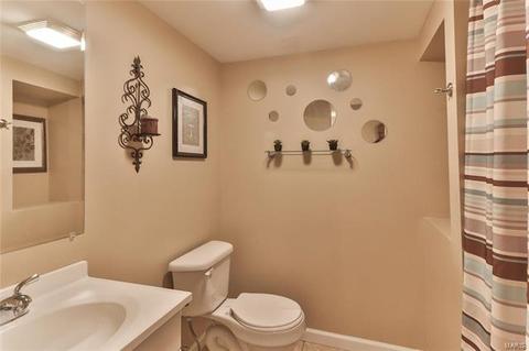 1 Babble Creek Ct, O'fallon, MO 63368 photo 19