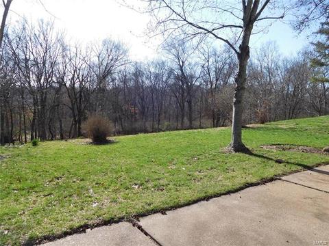 491 Hillbrook Dr, Ballwin, MO 63011 photo 27