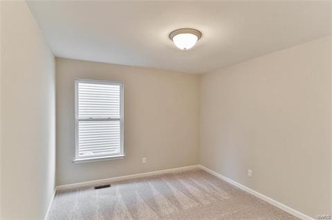 830 Bluff Brook Dr, O'fallon, MO 63366 photo 58
