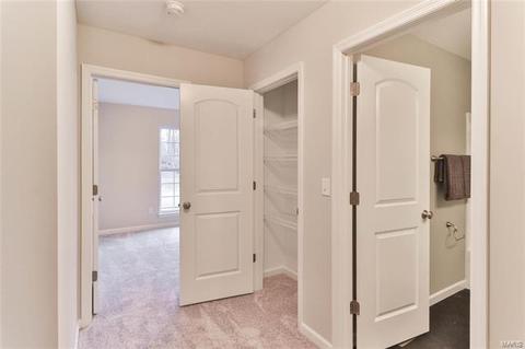 830 Bluff Brook Dr, O'fallon, MO 63366 photo 69