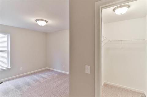 830 Bluff Brook Dr, O'fallon, MO 63366 photo 59