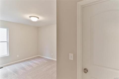 830 Bluff Brook Dr, O'fallon, MO 63366 photo 60