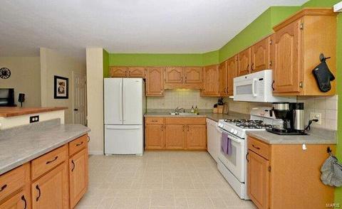 441 Fairview Ct, Winchester, MO 63021 photo 6