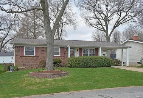 441 Fairview Ct, Winchester, MO 63021 photo 25