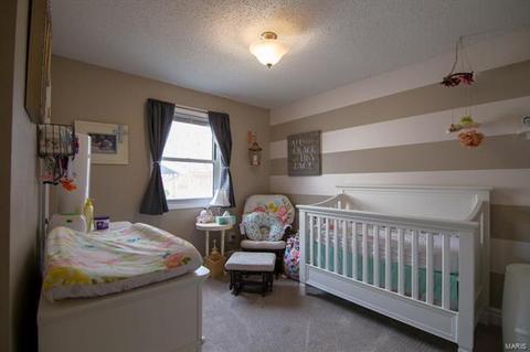 1062 Treetop Trl, Manchester, MO 63021 photo 17