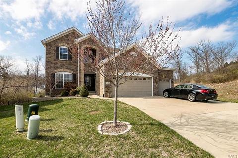 326 Lauren Lndg, Ballwin, MO 63021 photo 63