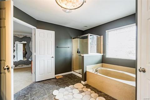 326 Lauren Lndg, Ballwin, MO 63021 photo 45