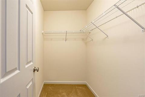 326 Lauren Lndg, Ballwin, MO 63021 photo 37