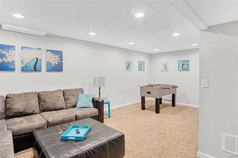 1002 Ashfield Ln, O'fallon, MO 63366 photo 19
