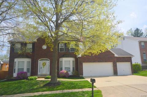 928 Pheasant Woods Dr, Manchester, MO 63021 photo 1