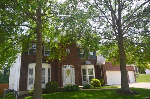 928 Pheasant Woods Dr, Manchester, MO 63021 photo 28