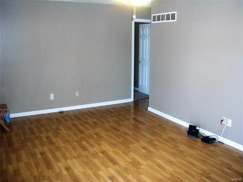 206 Mill Pond Dr, O'fallon, MO 63366 photo 4