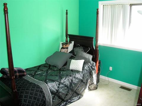 206 Mill Pond Dr, O'fallon, MO 63366 photo 12