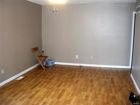 206 Mill Pond Dr, O'fallon, MO 63366 photo 3